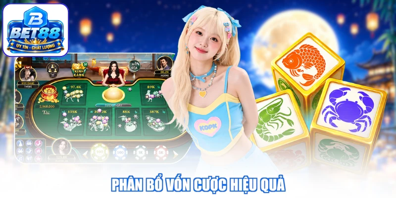 Phân bổ vốn cược hiệu quả